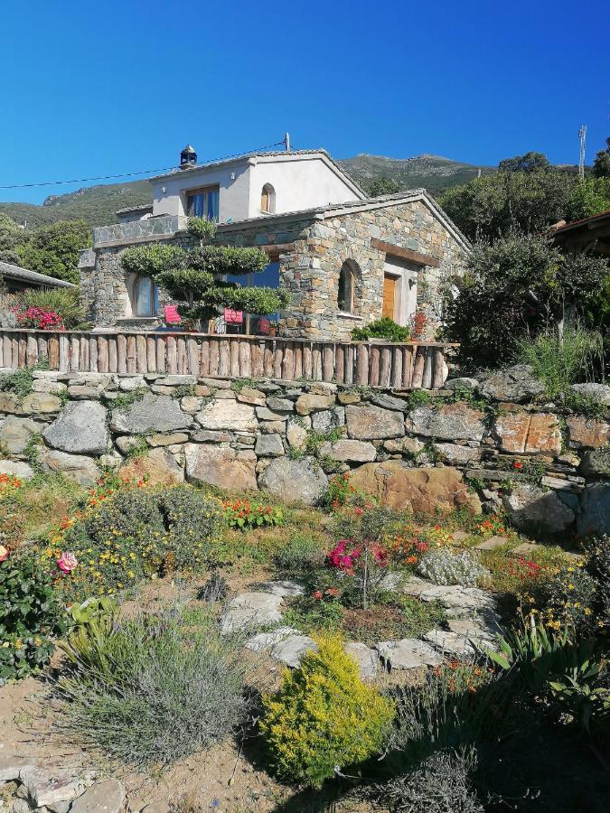 Logement De Charme Avec Piscine Privative Pino Exterior foto